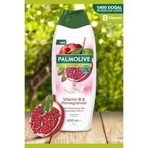 4 Adet Palmolive Naturals Duş Jeli Nar 650 Ml Diğer