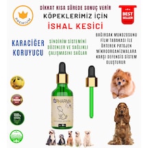 Rb Pharma Köpekler İçin İshal Kesici ve Karaciğer Koruyucu 50 ML