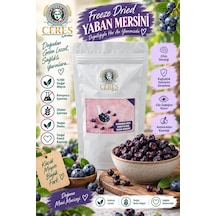 Dondurularak Kurutulmuş Yaban Mersini 20 G