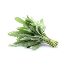 Eko Paket 50 Tohum Adaçayı Tohumu Ada Çayı Dağ Çayı Çay
