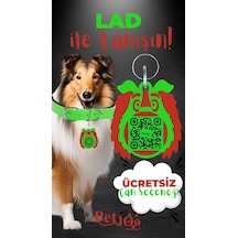 Petjoo 23.Lad Kırmızı-Yeşil Qr'lı Köpek Künyesi