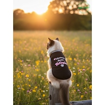 Siyah Hanimiş Benim Tatlışım Baskılı Kedi Ve Köpek Kıyafeti Tişörtü Elbisesi Medium/m/beden 2