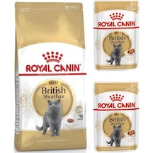 Royal Canin British Shorthair Kedi Maması 2 KG + 2 Adet Pouch