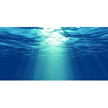 Kanki Pet 105 Cm Akvaryum Arka Fon Yapıştırma 105x52 Cm Kp1055229