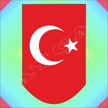 Ay Yildizli Şarjör Altliği N11.184 Çok Renkli