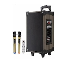 Hoparlör Çift Mikrofon, Bluetooth, Usb, Sd Kart Kumandalı 100watt