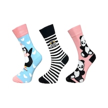 Me-vo 3'lü Unısex Penguen, Panda Ve Çizgili Tasarımlı Esnek Nem Alabilen Pamuklu Spor Soket Çoraplar Çok Renkli