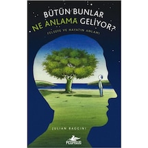 Bütün Bunlar Ne Anlama Geliyor? - Julian Baggini - Pegasus