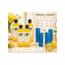 Botanica Frezya 500 Ml 4'lü + Wellnax Sünger Seti