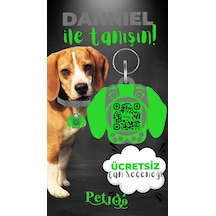 Petjoo 21.Danniel Yeşil-Gri Qr'lı Köpek Künyesi