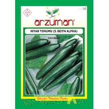 Beith Alpha Salatalık Tohumu 10 GR Ort 300 Ad Tohum N116359