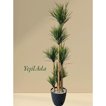 Yapay Püskül Ağacı 1.35 Metre Boyunda Bambu Gövdeli Püskül Ağacı Yeşil Karışık