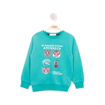 Toontoy Kids Toontoy Erkek Çocuk Relax Fit Bisiklet Yaka Animal Baskılı Sweatshirt - 2 İplik Koyu Yeşil