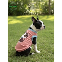 Gobo Yumuşacık Şeker Pembe Kedi Ve Köpek Kıyafeti Elbisesi Siyah Kedi Baskılı - Xs, S, M, L Beden