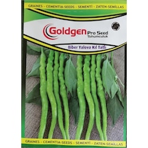 Goldgen Pro Seed Biber Yalova Kıl Tatlı
