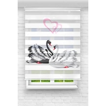 Perdeoutlet38 Baskılı Renkli Kuğu Dijital Baskılı Zebra Perde-cocuk Odası-stor Perde Model:pz-116 Çok Renkli