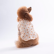 Teddy Belle Kedi Köpek Gömleği - Kedi Köpek Kıyafeti-kedi Gömlek-köpek Gömlek