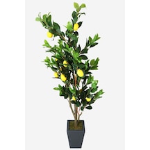 Yapay Çiçek Deposu Ahşap Mdf Saksıda Yapay Lüx Limon Ağacı 200 Cm
