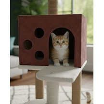 Reyo Pet Kedi Tırmalama Ve Oyun Evi Gül Kurusu
