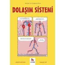 Dolaşım Sistemi - Gençler İçin Çizgilerle Bilim - Rjcı-752843