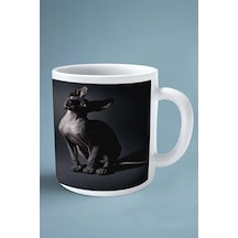 Sfenks Kedisi Kedi İsimli Kişiye Özel Baskılı Kupa Bardak Model 10 Çok Renkli