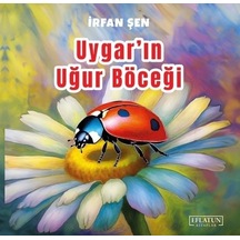1 Adet
