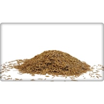 Çim Tohumu Tekli Karışım 10 KG Lolium Perenne