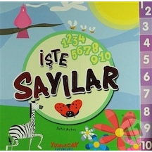 Işte Sayılar/Betül Aytaç