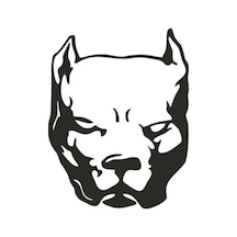 Byr002 Pitbull Oto Motor Laptop Duvar Folyo Sticker 25x30 Cm Efsngrck
