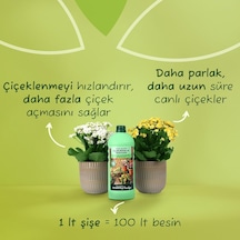 Ayrex Genta Prestige Çiçekli Bitkiler Ve Sardunyalar İçin Sıvı Bitki Besini Sıvı Gübre1000 Ml Diğer