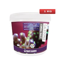 Reeflowers Caledonia Reef Coral Salt Akvaryum Deniz Tuzu 1 KG Açık