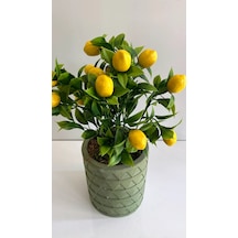 Rüzgar Yapay Çiçekçilik 35 Cm Limon Ağacı Yeşil