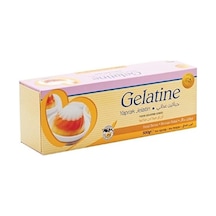 Yaprak Jelatin 500gr
