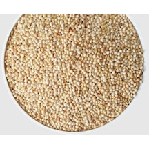 Aktar Store Kuş Yemi Ak Darı Beyaz Darı 100 Gr