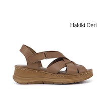 Fındık