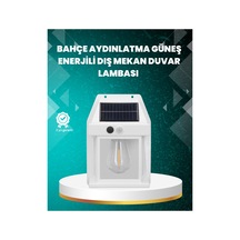 Mercan-çok Renkli