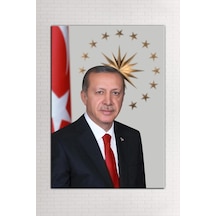 Çok Renkli