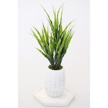 Tepsili Mini Beton Vazoda Yeşillik Tanzimi 33 Cm