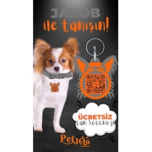 Petjoo 8.Jakob Turuncu-Gri Qr'lı Köpek Künyesi