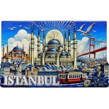 İstanbul Temalı Silikon Buzdolapı Süsü Magnet Alk5379 Standart