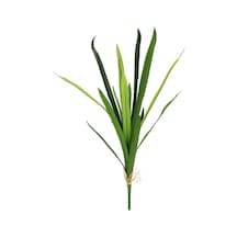 Yapay Dracena Demeti Büyük