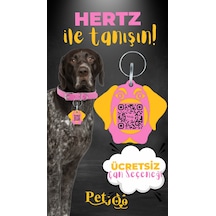 Petjoo 26.Hertz Sarı-Pembe Qr'lı Köpek Künyesi