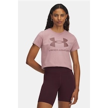 Under Armour Ua Logo Ss Kadın Tişört Pembe