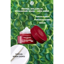 Cildi Yoğun Besleyici Cildi Güçlendirici, Sıkılaştırıcı Ve Sarkmalara Karşı Koruyucu Gece Kremi 50ml