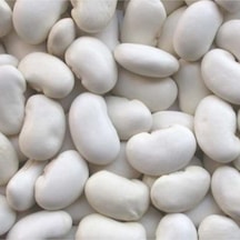 Gaziantep Pazarı Bombay Fasulye 5 KG