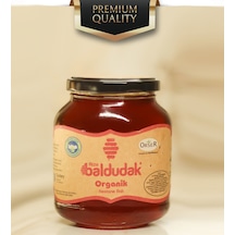 Baldudak Organik Kestane Balı 450 G