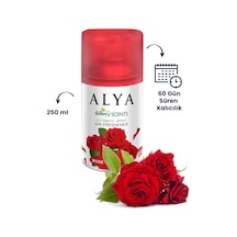 Rose- Gül Oda Kokusu Yedek Makine Spreyi 250 Ml Açık Gri
