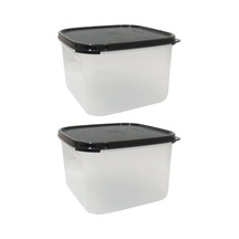 Modular Mates Mm Set: 2 X Mini Dikdörtgen Rectangle Iı By Tupperware S