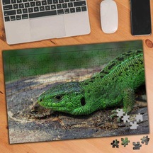 Yeşil Kertenkele 240 Parça Puzzle Yapboz-63185