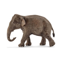 Schleich Dişi Asya Fili